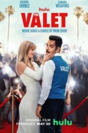 Дублёр (2022) The Valet