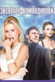 Экспресс-командировка (2016)