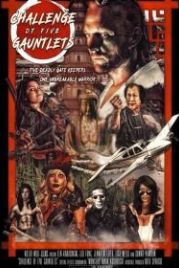 Испытание пяти перчаток (2019) Challenge of Five Gauntlets