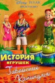Гавайские каникулы (2011) Hawaiian Vacation
