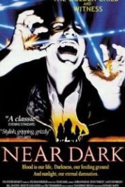 Почти стемнело (1987) Near Dark