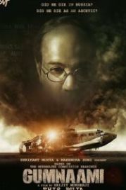 Анонимный (2019) Gumnaami