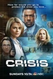 Захват (2014) Crisis
