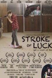 Подарок судьбы (2022) Stroke of Luck