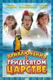 Приключения в Тридесятом царстве (2008)
