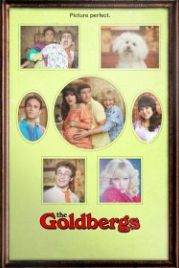 Голдберги (2013) The Goldbergs