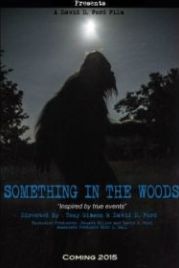 Нечто из леса (2016) Something in the Woods