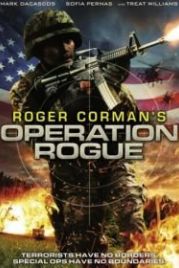 Операция «Возмездие» (2014) Operation Rogue