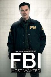 ФБР: Самые разыскиваемые преступники (2020) FBI: Most Wanted
