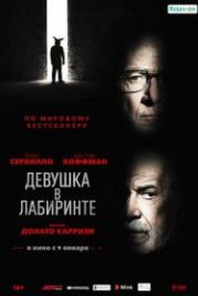 Девушка в лабиринте (2019) L'uomo del labirinto
