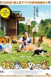 Дом кошек (2017) Neko atsume no ie