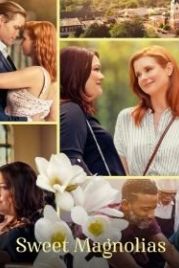 Милые магнолии (2020) Sweet Magnolias