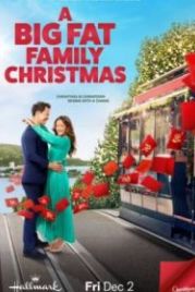 Рождество в большом семейном кругу (2022) A Big Fat Family Christmas