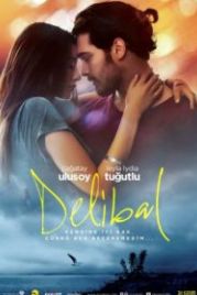Дикий мёд (2015) Delibal