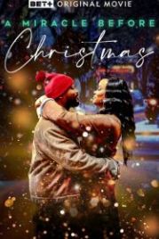 Чудо перед Рождеством (2022) A Miracle Before Christmas