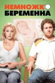 Немножко беременна (2007) Knocked Up