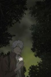 Мастер Муси: Тень, пожирающая солнце (2014) Mushishi Tokubetsu-hen: Hihamukage