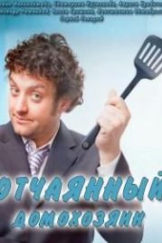 Отчаянный домохозяин (2017)