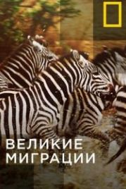 Великие миграции (2010) Great Migrations