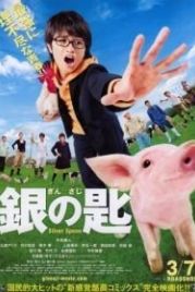 Серебряная ложка (2014) Gin no saji