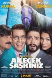 Безумная семейка (2018) Ailecek Saskiniz