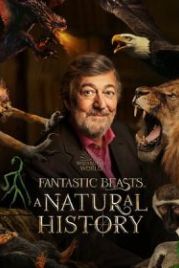 Фантастические твари: Естественная история (2022) Fantastic Beasts: A Natural History