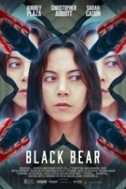 Чёрный медведь (2020) Black Bear