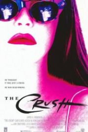 Увлечение (1993) The Crush