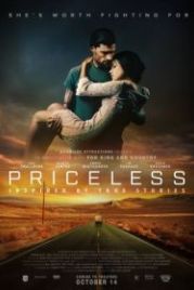 Бесценная (2016) Priceless