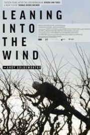 Творить вместе с ветром: Энди Голдсуорти (2017) Leaning Into the Wind: Andy Goldsworthy