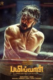 Рестлер (2019) Pailwaan