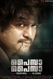 Деньги, деньги (2013) Paisa Paisa