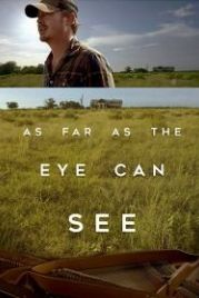 Дальше, чем ты видишь (2016) As Far as the Eye Can See