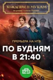 Хождение по мукам (2017)