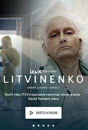 Литвиненко (2022) Litvinenko