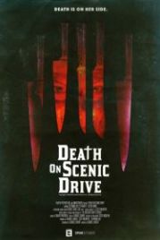 Смерть на сцене (2017) Death on Scenic Drive