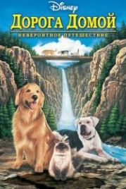 Дорога домой: Невероятное путешествие (1993) Homeward Bound: The Incredible Journey