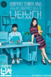 Необщительный босс (2017) Naesungjukin boseu