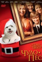Чудо-пес (2011) My Dog's Christmas Miracle