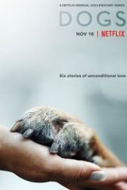 Собаки (2018) Dogs
