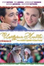 История любви, или Новогодний розыгрыш (2009)
