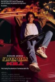 Если бы взгляды могли убивать (1991) If Looks Could Kill