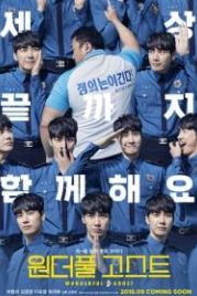 Чудесный призрак (2018) Wondeopul goseuteu