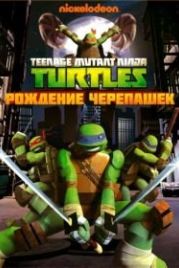 Черепашки-ниндзя (2012) Teenage Mutant Ninja Turtles