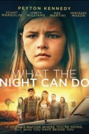 На что способна ночь (2017) What the Night Can Do