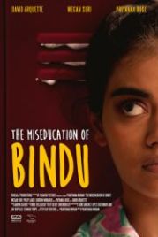 Неправильное воспитание Бинду (2020) The MisEducation of Bindu