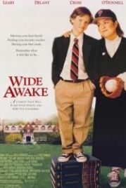 Пробуждение (1998) Wide Awake
