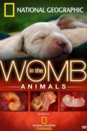 National Geographic. Жизнь до рождения: Собаки (2008) In The Womb: Dogs