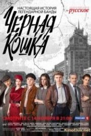 Черная кошка (2016)