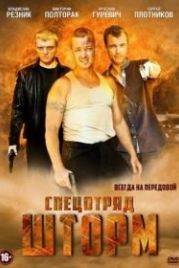 Спецотряд «Шторм» (2013)